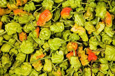 《高殿战记》第三幕测试高燃发布！体验全新冒险旅程！